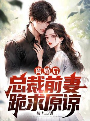 官场离婚后