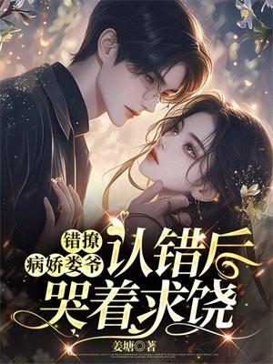 清穿之律师太子妃葳胤